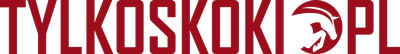 logo dla Tylko Skoki